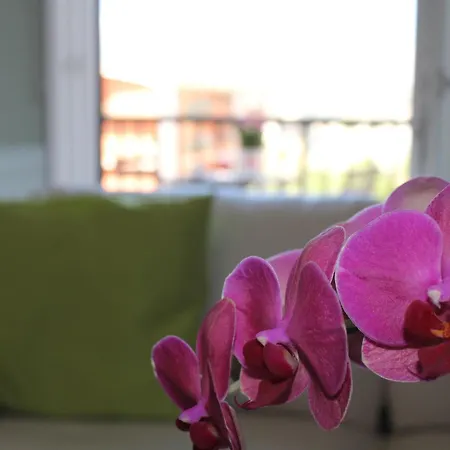 Cuore Flat Apartment *