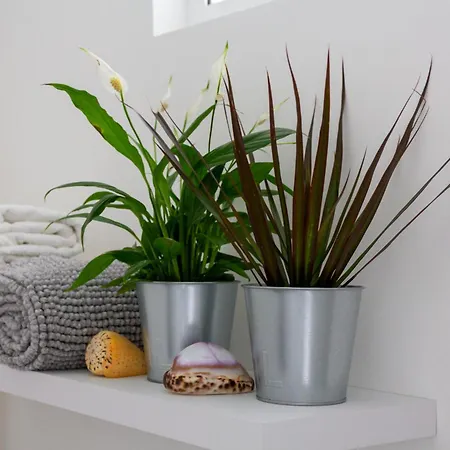 Cuore Flat דירה מודיקה