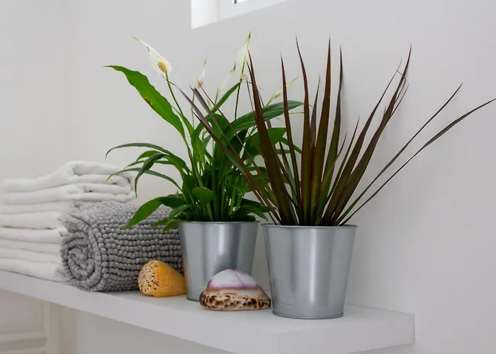 Cuore Flat Lejlighed Modica